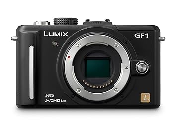 Amazon.com : Panasonic Lumix DMC-GF1 12.1MP Micro Four